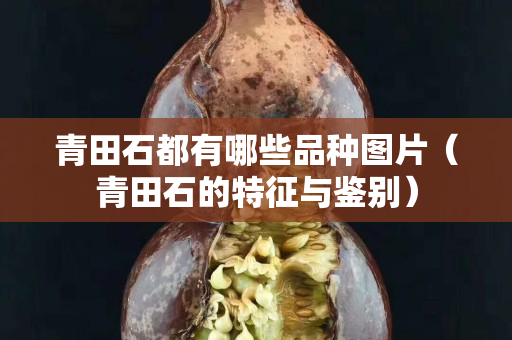 青田石都有哪些品種圖片（青田石的特征與鑒別）