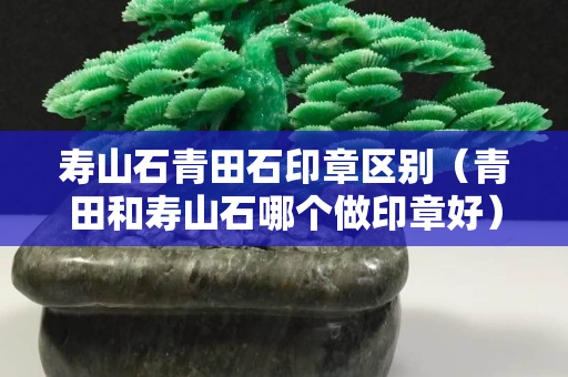 壽山石青田石印章區(qū)別（青田和壽山石哪個做印章好）