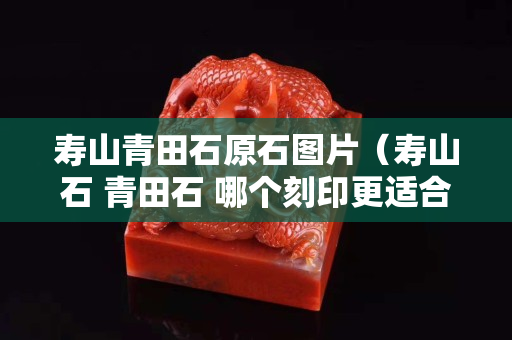 壽山青田石原石圖片（壽山石 青田石 哪個刻印更適合）