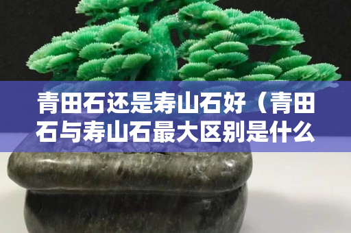 青田石還是壽山石好（青田石與壽山石最大區別是什么）