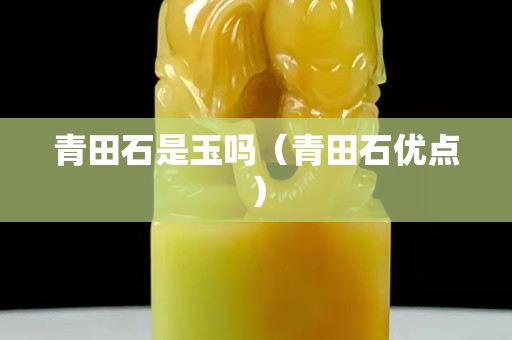 青田石是玉嗎（青田石優點）