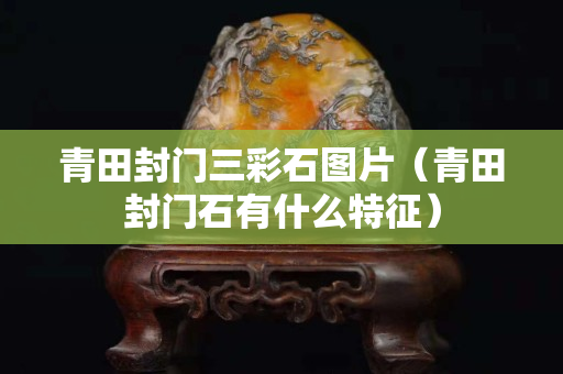 青田封門(mén)三彩石圖片（青田封門(mén)石有什么特征）