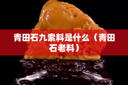 青田石九索料是什么（青田石老料）