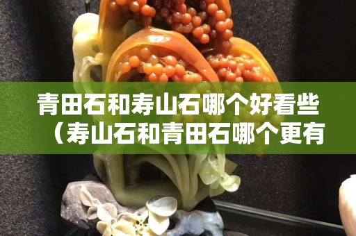青田石和壽山石哪個好看些（壽山石和青田石哪個更有收藏價值）