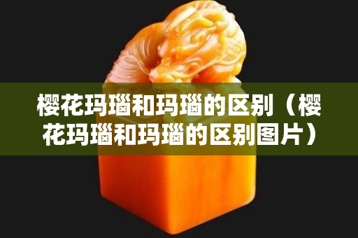 櫻花瑪瑙和瑪瑙的區別（櫻花瑪瑙和瑪瑙的區別圖片）