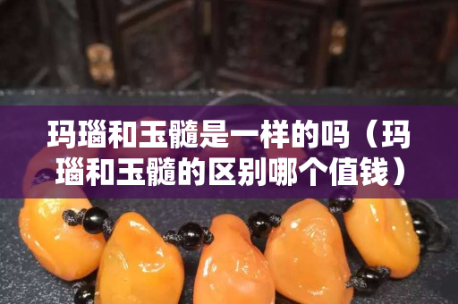瑪瑙和玉髓是一樣的嗎（瑪瑙和玉髓的區別哪個值錢）
