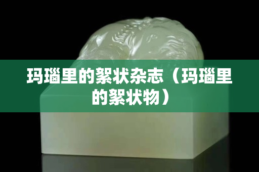 瑪瑙里的絮狀雜志（瑪瑙里的絮狀物）