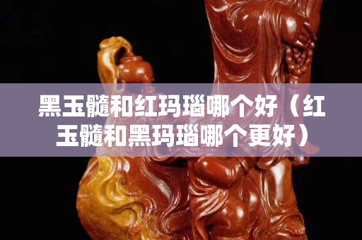 黑玉髓和紅瑪瑙哪個好（紅玉髓和黑瑪瑙哪個更好）