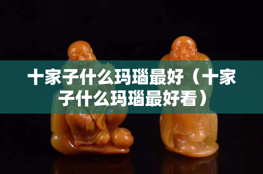 十家子什么瑪瑙最好（十家子什么瑪瑙最好看）