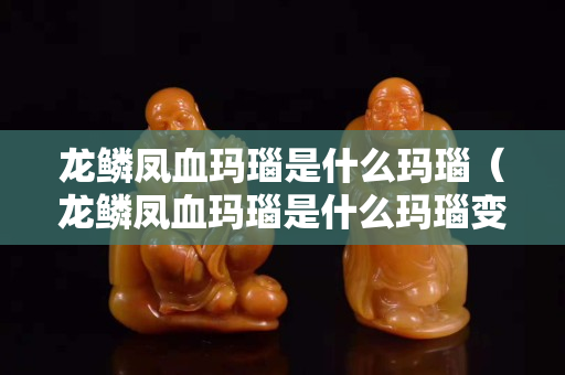 龍鱗鳳血瑪瑙是什么瑪瑙（龍鱗鳳血瑪瑙是什么瑪瑙變黑紋咋回事）
