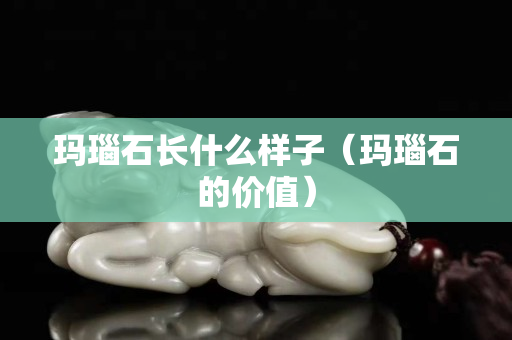 瑪瑙石長(zhǎng)什么樣子（瑪瑙石的價(jià)值）