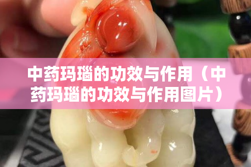 中藥瑪瑙的功效與作用（中藥瑪瑙的功效與作用圖片）