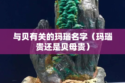 與貝有關的瑪瑙名字（瑪瑙貴還是貝母貴）