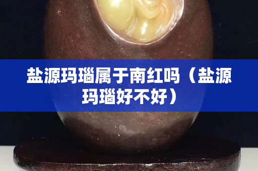 鹽源瑪瑙屬于南紅嗎（鹽源瑪瑙好不好）