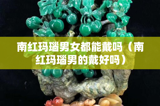 南紅瑪瑙男女都能戴嗎（南紅瑪瑙男的戴好嗎）