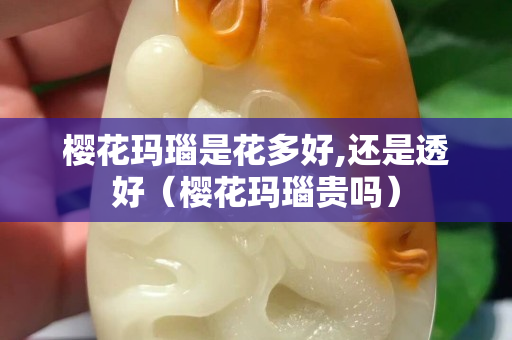 櫻花瑪瑙是花多好,還是透好（櫻花瑪瑙貴嗎）