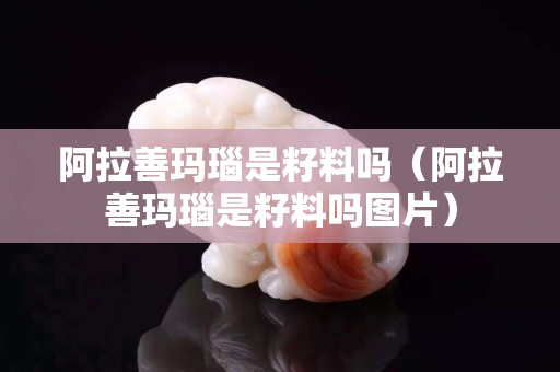 阿拉善瑪瑙是籽料嗎（阿拉善瑪瑙是籽料嗎圖片）