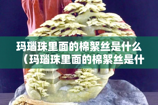 瑪瑙珠里面的棉絮絲是什么（瑪瑙珠里面的棉絮絲是什么材料）