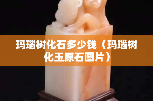 瑪瑙樹化石多少錢（瑪瑙樹化玉原石圖片）