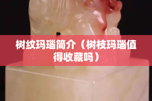 樹紋瑪瑙簡介（樹枝瑪瑙值得收藏嗎）