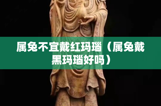 屬兔不宜戴紅瑪瑙（屬兔戴黑瑪瑙好嗎）
