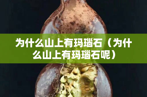 為什么山上有瑪瑙石（為什么山上有瑪瑙石呢）