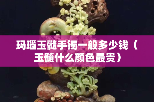 瑪瑙玉髓手鐲一般多少錢（玉髓什么顏色最貴）