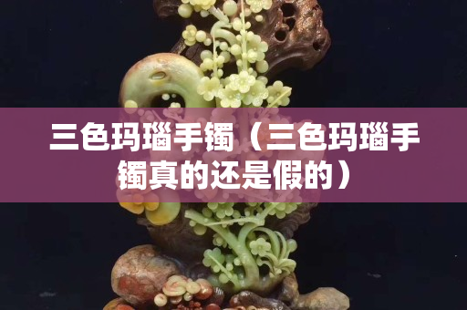 三色瑪瑙手鐲（三色瑪瑙手鐲真的還是假的）