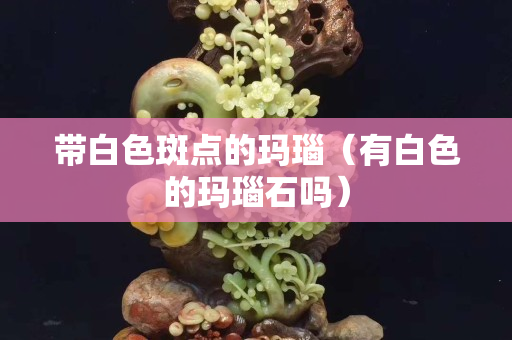 帶白色斑點(diǎn)的瑪瑙（有白色的瑪瑙石嗎）