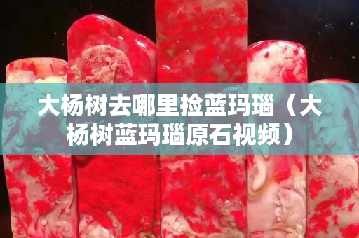 大楊樹去哪里撿藍(lán)瑪瑙（大楊樹藍(lán)瑪瑙原石視頻）
