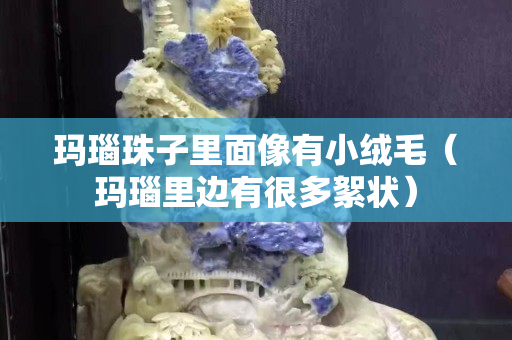 瑪瑙珠子里面像有小絨毛（瑪瑙里邊有很多絮狀）