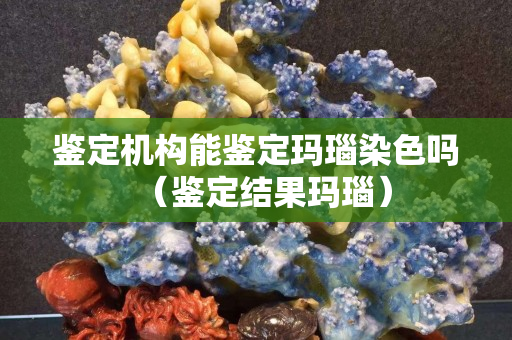 鑒定機(jī)構(gòu)能鑒定瑪瑙染色嗎（鑒定結(jié)果瑪瑙）