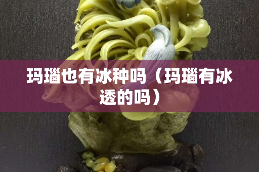 瑪瑙也有冰種嗎（瑪瑙有冰透的嗎）