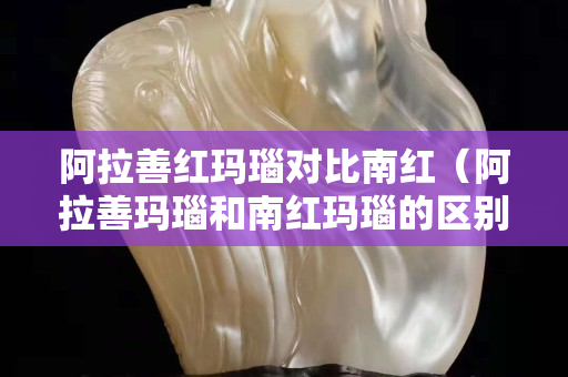 阿拉善紅瑪瑙對比南紅（阿拉善瑪瑙和南紅瑪瑙的區(qū)別）