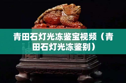 青田石燈光凍鑒寶視頻（青田石燈光凍鑒別）