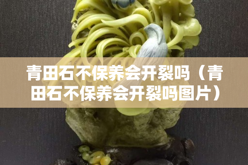 青田石不保養(yǎng)會開裂嗎（青田石不保養(yǎng)會開裂嗎圖片）