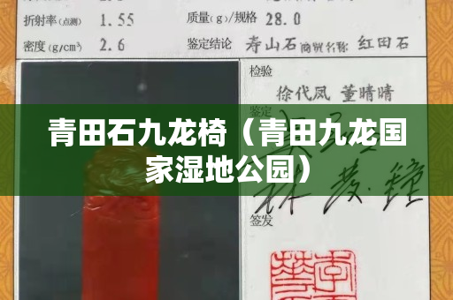 青田石九龍椅（青田九龍國家濕地公園）