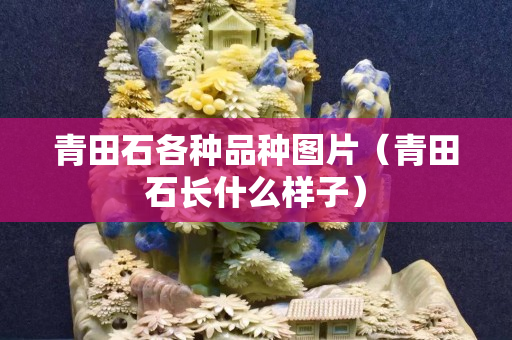 青田石各種品種圖片（青田石長什么樣子）