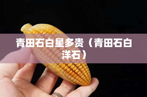 青田石白星多貴（青田石白洋石）