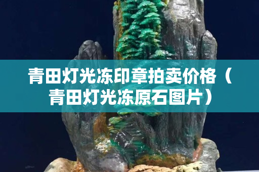 青田燈光凍印章拍賣價格（青田燈光凍原石圖片）