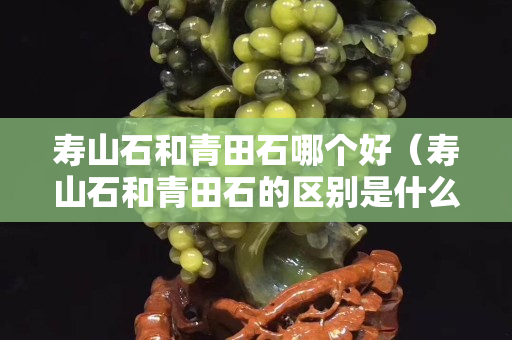 壽山石和青田石哪個(gè)好（壽山石和青田石的區(qū)別是什么？）
