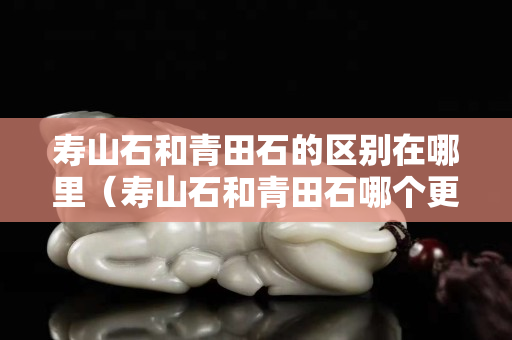 壽山石和青田石的區(qū)別在哪里（壽山石和青田石哪個(gè)更有收藏價(jià)值）