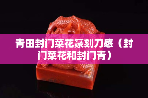 青田封門菜花篆刻刀感（封門菜花和封門青）