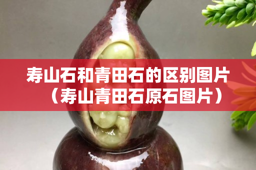 壽山石和青田石的區別圖片（壽山青田石原石圖片）