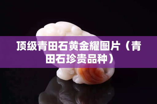 頂級青田石黃金耀圖片（青田石珍貴品種）