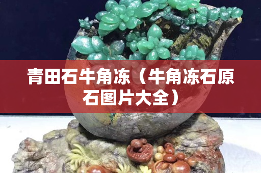 青田石牛角凍（牛角凍石原石圖片大全）
