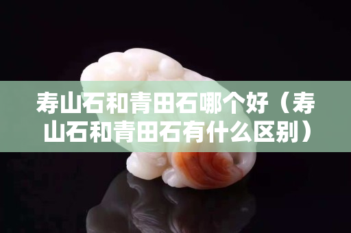 壽山石和青田石哪個好（壽山石和青田石有什么區別）