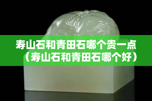 壽山石和青田石哪個貴一點（壽山石和青田石哪個好）
