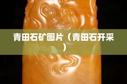 青田石礦圖片（青田石開采）
