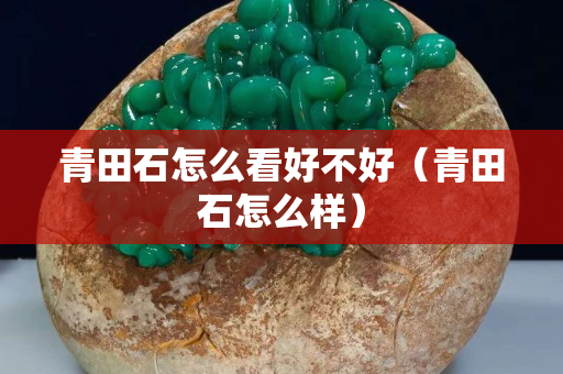 青田石怎么看好不好（青田石怎么樣）